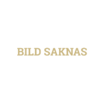 bild-saknas-fabian-flink