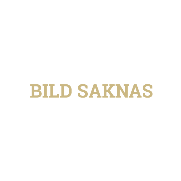 bild-saknas-fabian-flink
